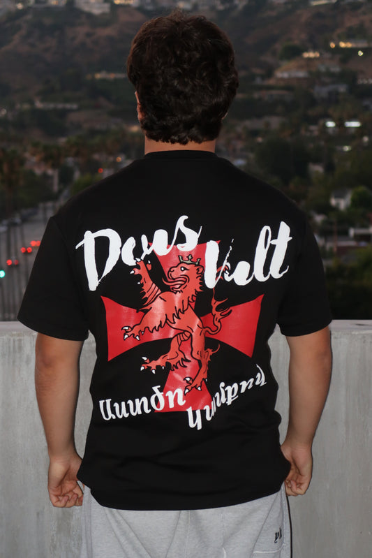 Cilicia Armenia Crusader Oversized Tee