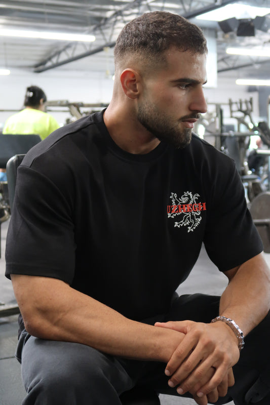 Cilicia Armenia Crusader Oversized Tee