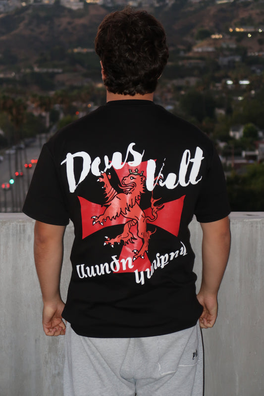 Cilicia Armenia Crusader Oversized Tee